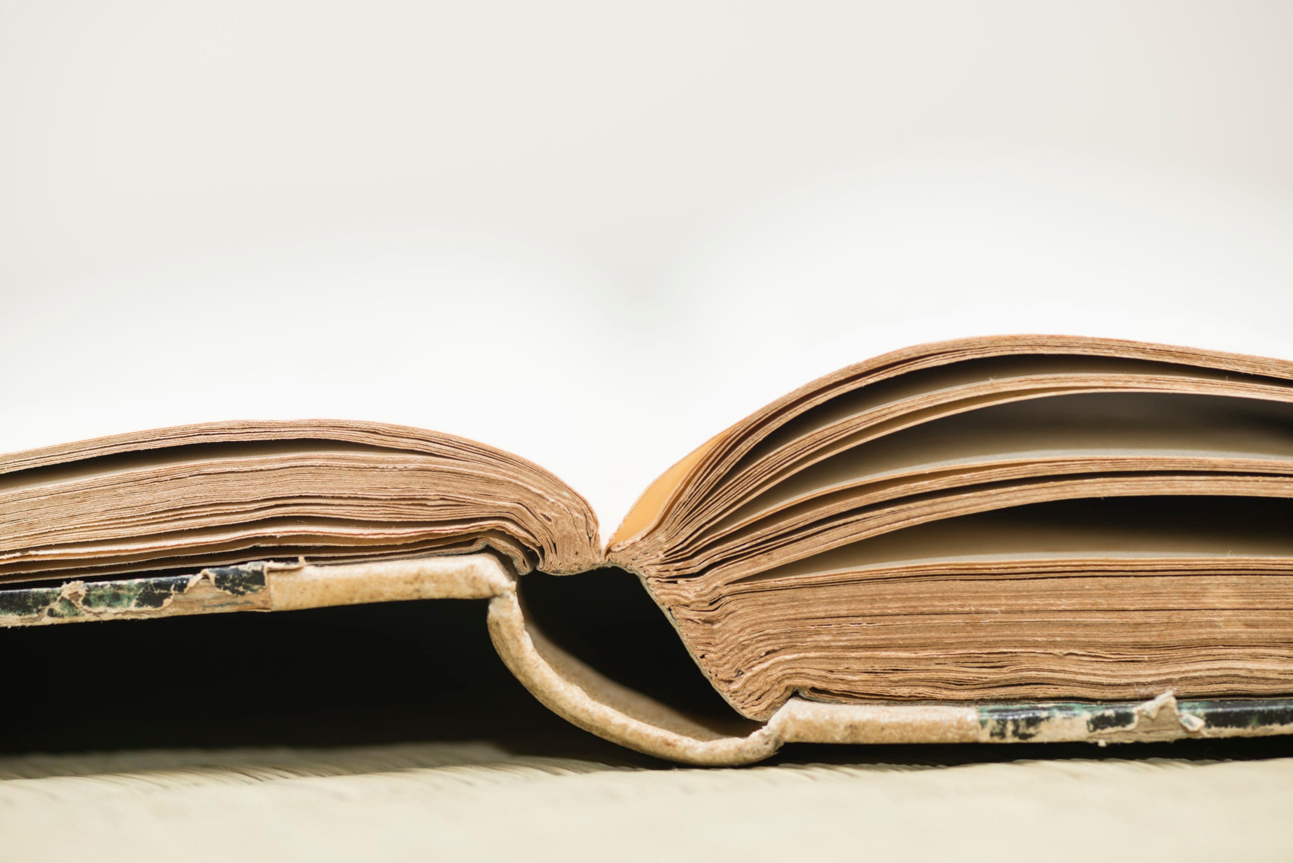 Disorder is the soul of everything