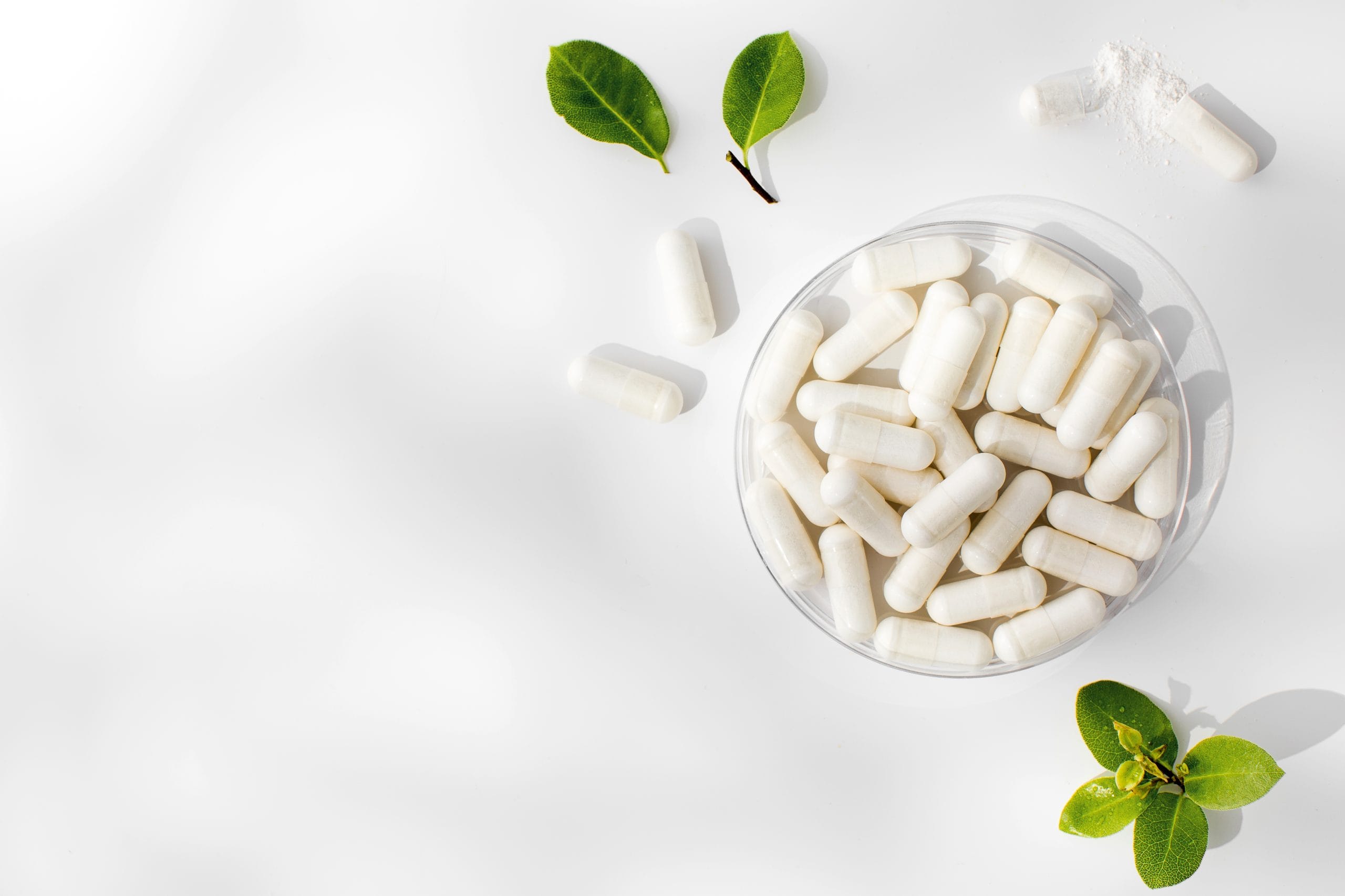 Spore-Based & Next-Gen Probiotics