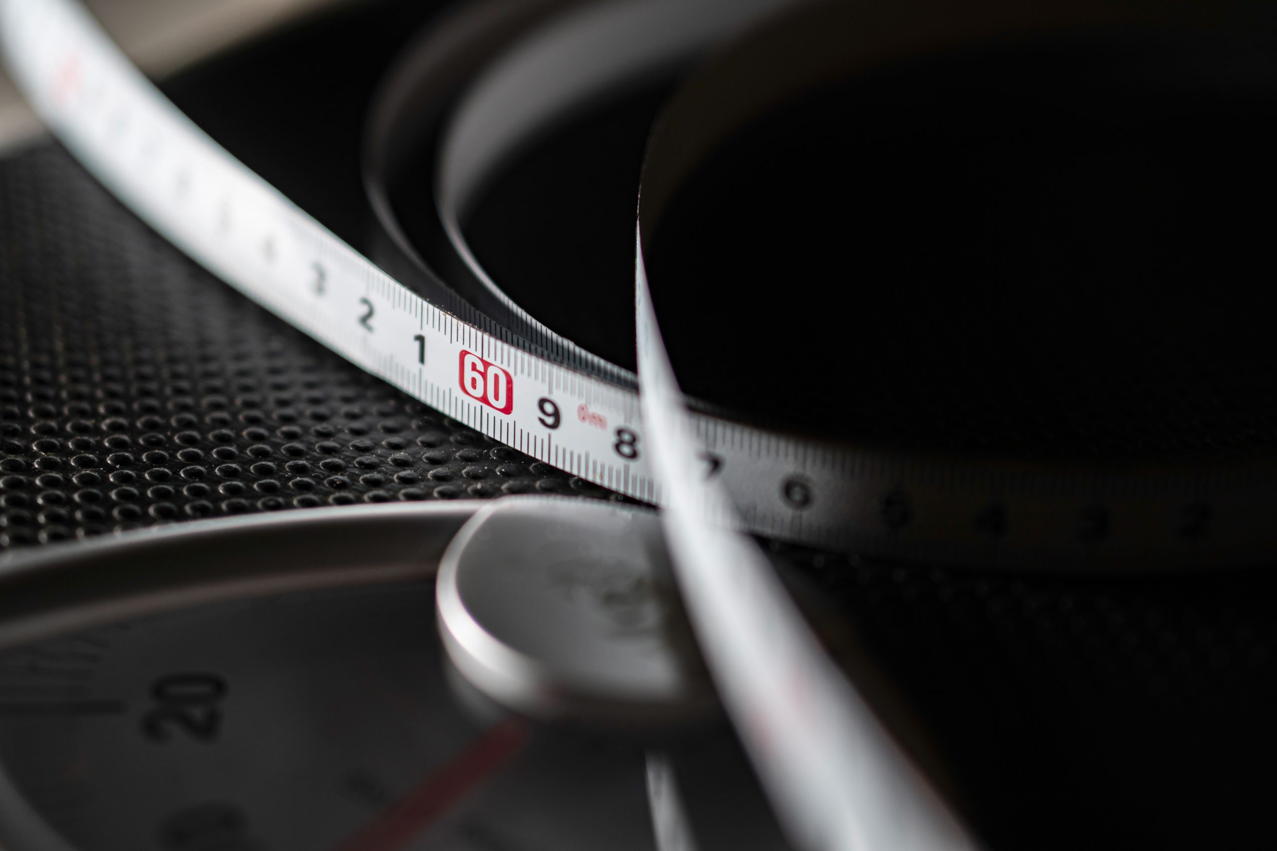 02-Systemic_Base-06-Adipose_Scale